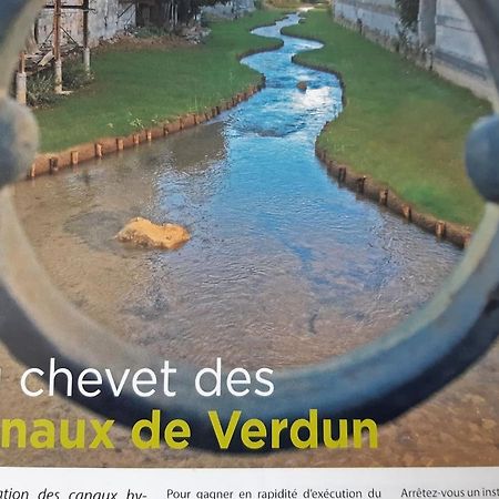 Au Chevet Des Canaux De Verdun Luaran gambar